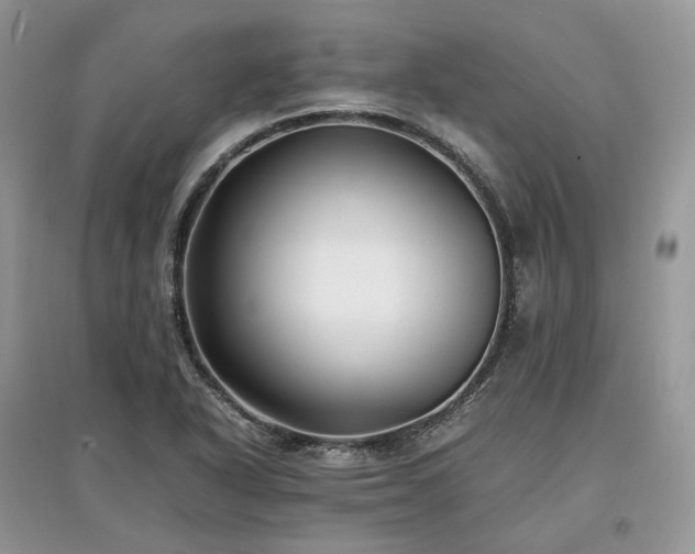 X0000097641318200803071544