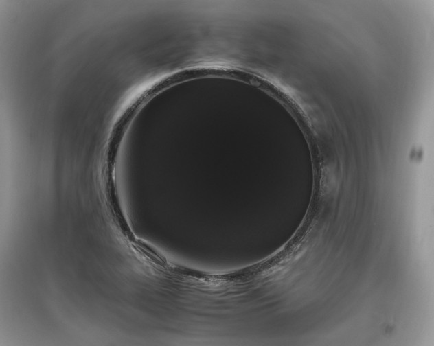 X0000097641319200803071544