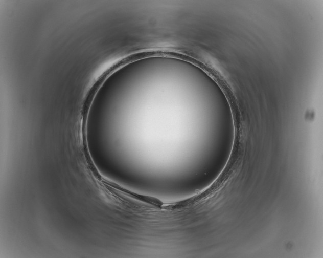 X0000097641320200803071544