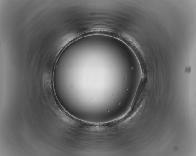 X0000097641321200803071544