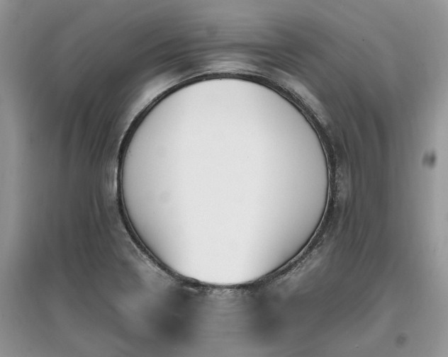 X0000097641322200803071544