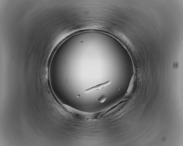 X0000097641324200803071544