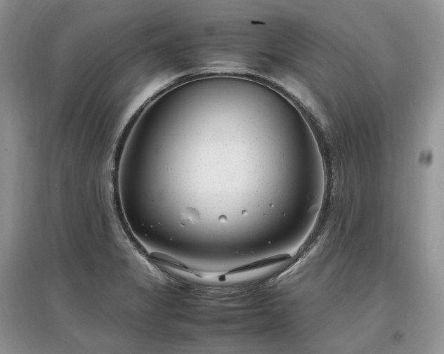 X0000097641325200803071544