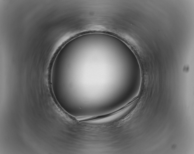 X0000097641326200803071545