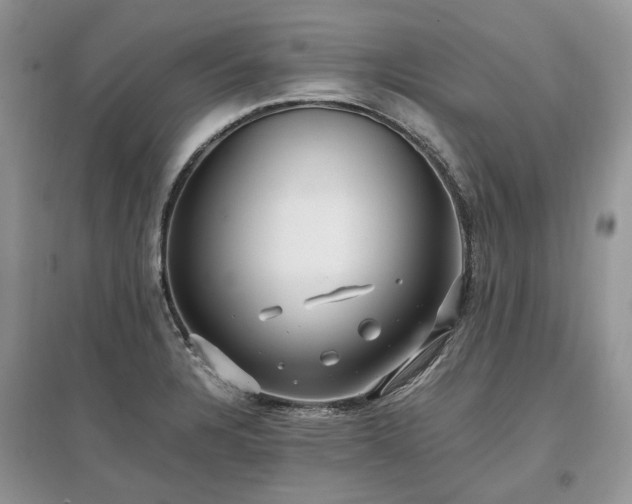 X0000097641328200803071545