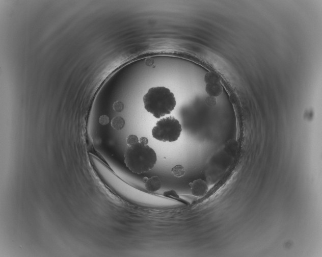 X0000097641329200803071545