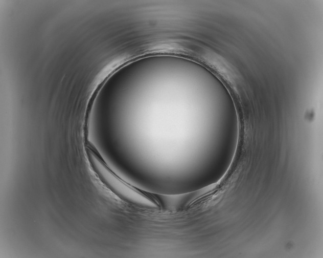 X0000097641330200803071545