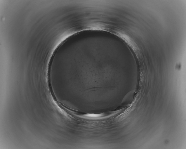 X0000097641331200803071545