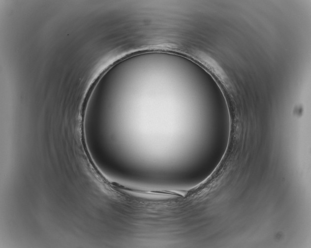 X0000097641332200803071545