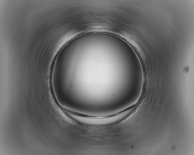 X0000097641333200803071545