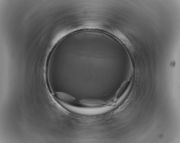 X0000097641334200803071545