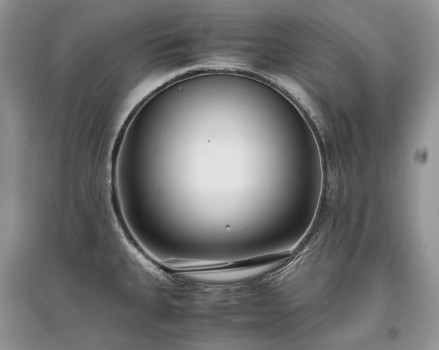 X0000097641335200803071545