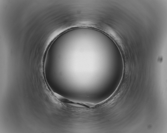 X0000097641336200803071545