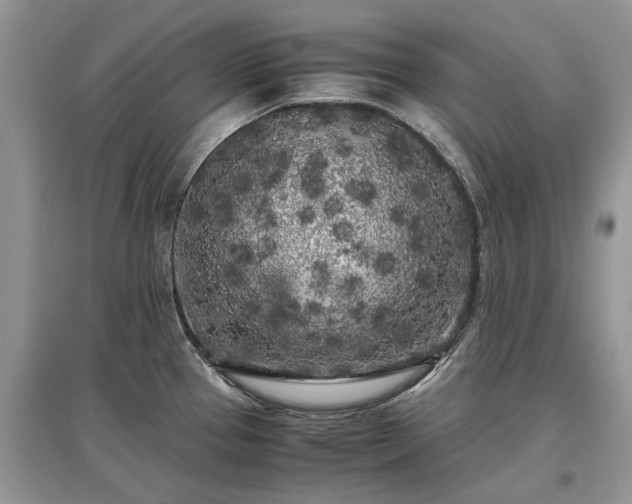 X0000097641337200803071545