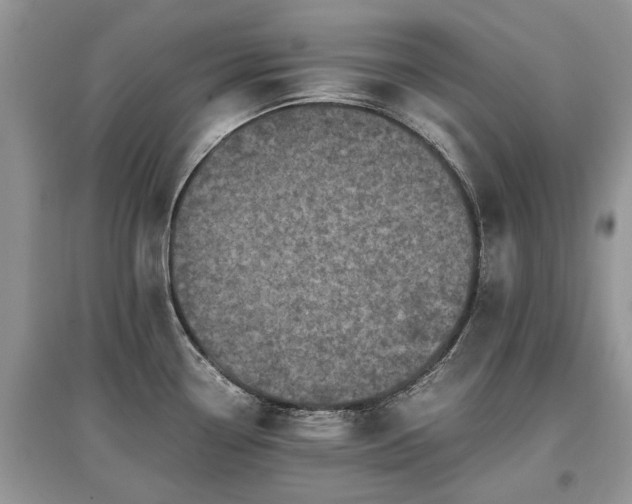 X0000097641338200803071545