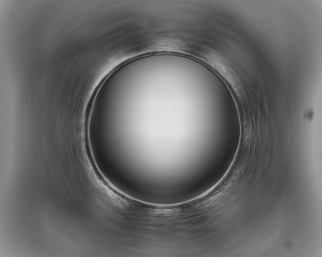 X0000097641339200803071545