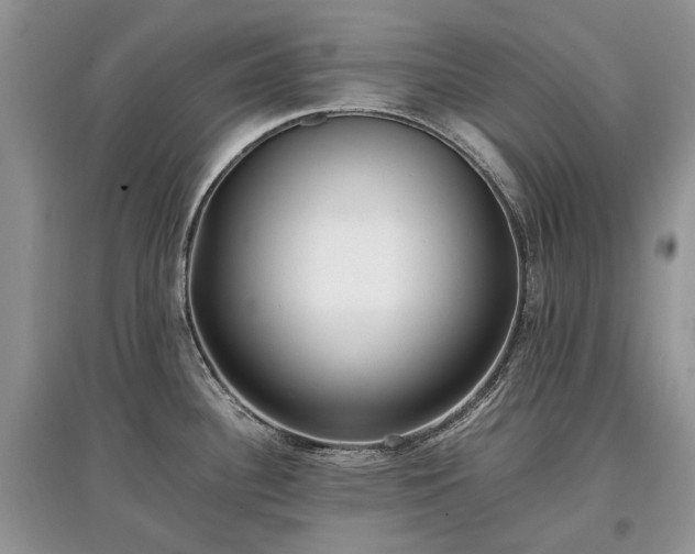 X0000097641340200803071545