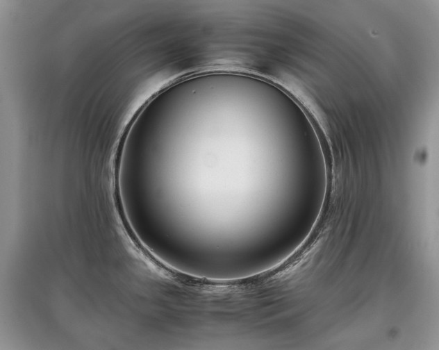 X0000097641341200803071545