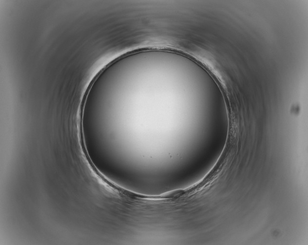 X0000097641343200803071545