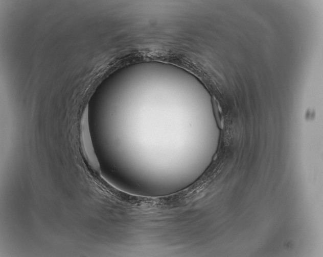 X0000097641345200803071544