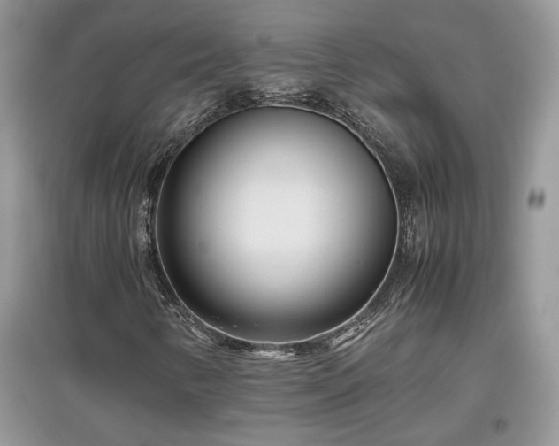 X0000097641346200803071544