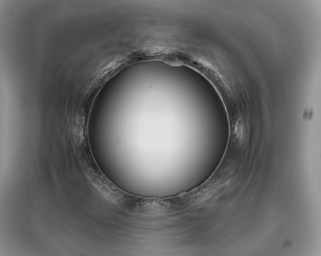 X0000097641348200803071544