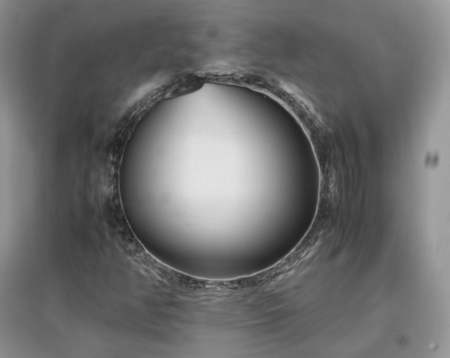 X0000097641350200803071544