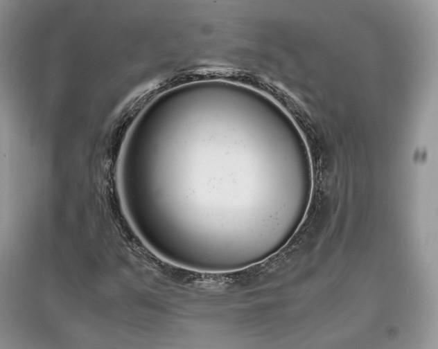 X0000097641351200803071544