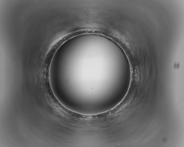 X0000097641352200803071544