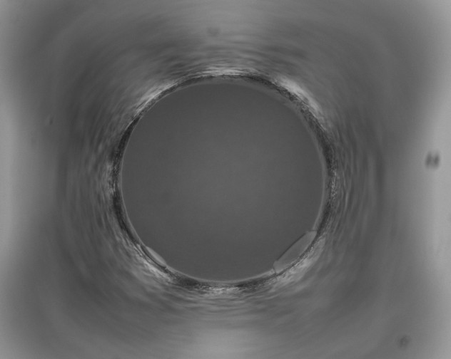 X0000097641353200803071544