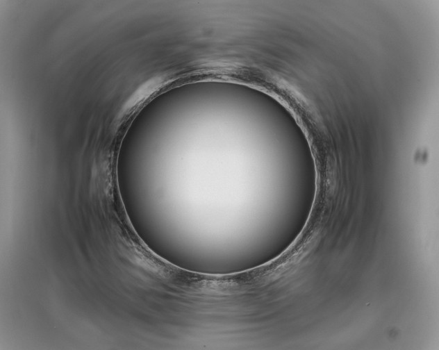 X0000097641354200803071544