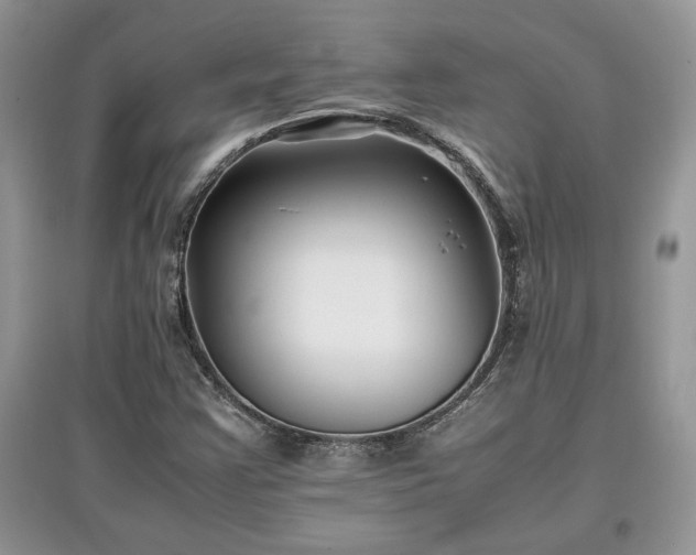 X0000097641355200803071544