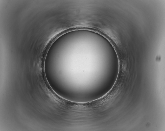 X0000097641356200803071544