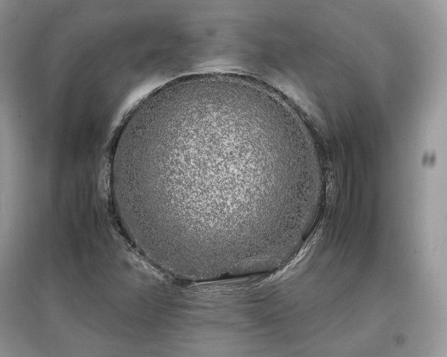 X0000097641358200803071544