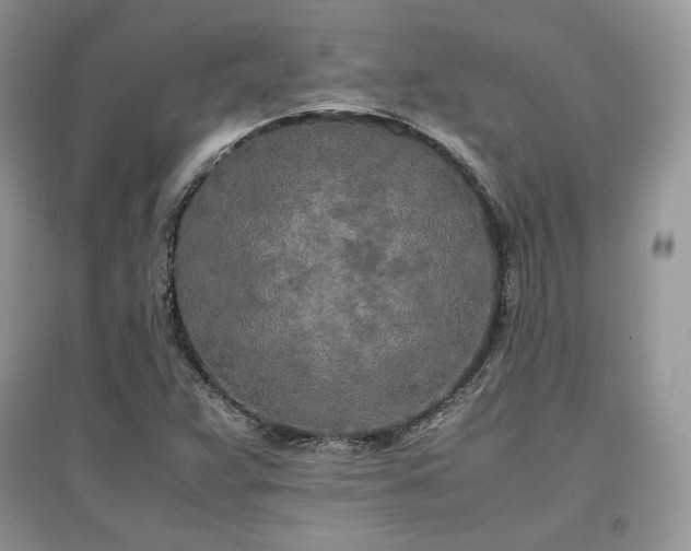 X0000097641359200803071544