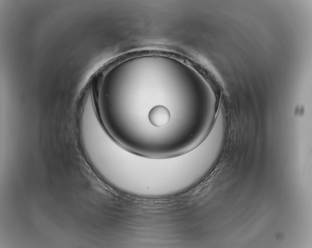 X0000097641360200803071544