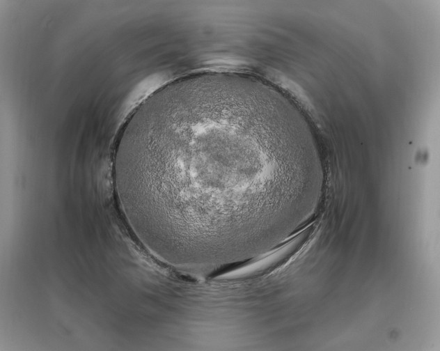 X0000097641362200803071544