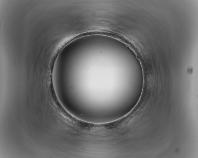 X0000097641363200803071544