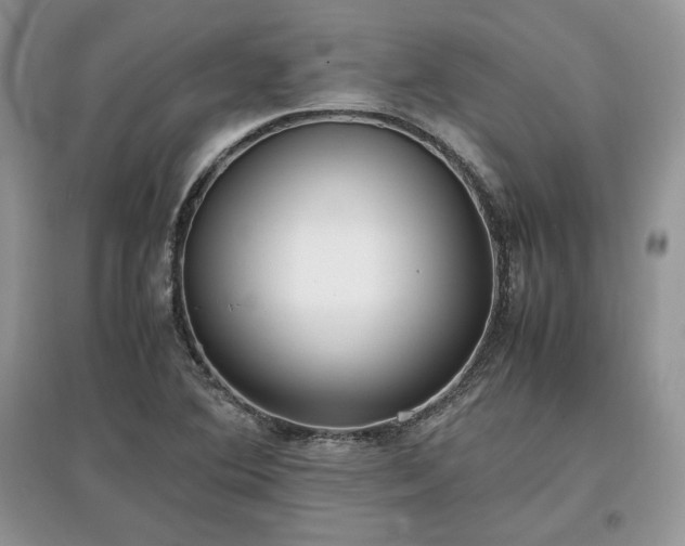 X0000097641364200803071544