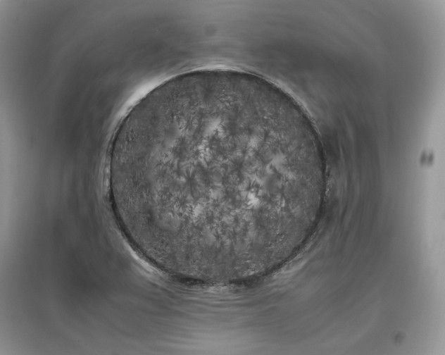 X0000097641367200803071544