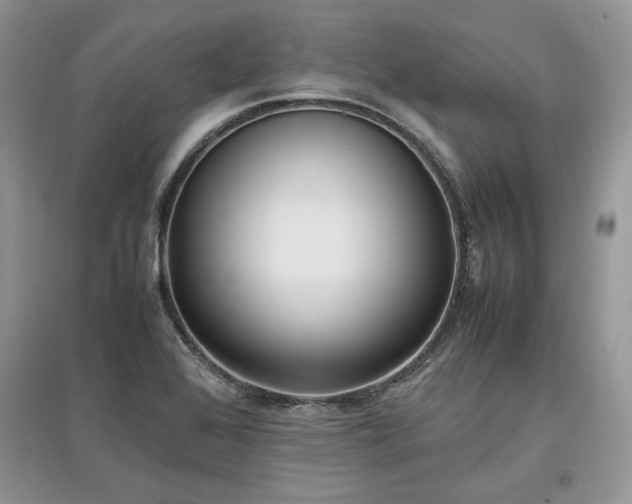 X0000097641368200803071544