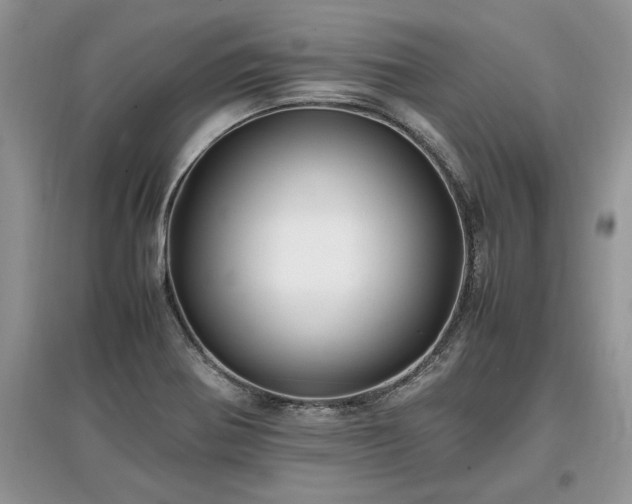 X0000097641370200803071544