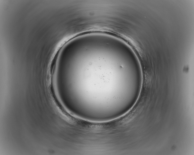 X0000097641371200803071544