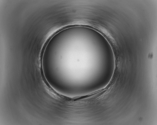 X0000097641372200803071544