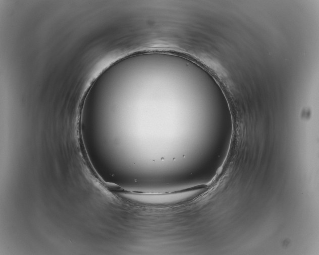 X0000097641374200803071544