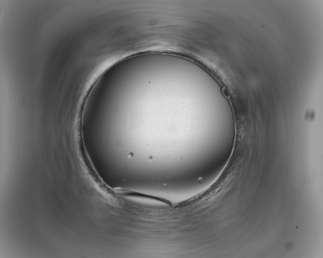 X0000097641375200803071544