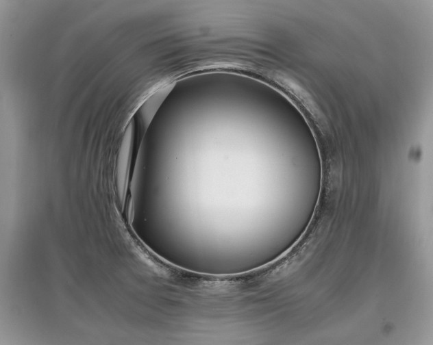 X0000097641377200803071544