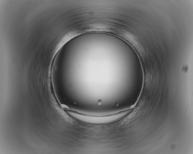 X0000097641378200803071544