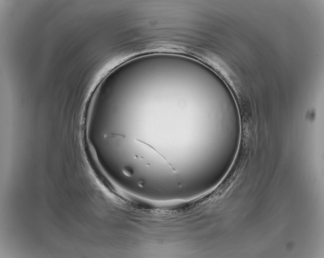 X0000097641379200803071544