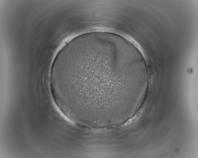 X0000097641381200803071543